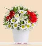 İLKÖĞRETİM FEN VE MATEMATİK DERSLERİ VERİLİR