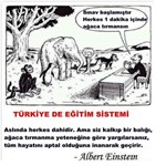 TEOG' hazırlık Türkçe dersi verilir.