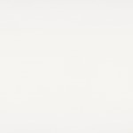 İngilizce İlköğretim ve TEOG Özel Ders 