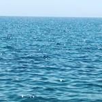 İspanyolca Özel Ders